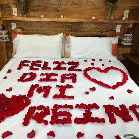 Casa Del Rio En Mindo Bed & Breakfast エクステリア 写真