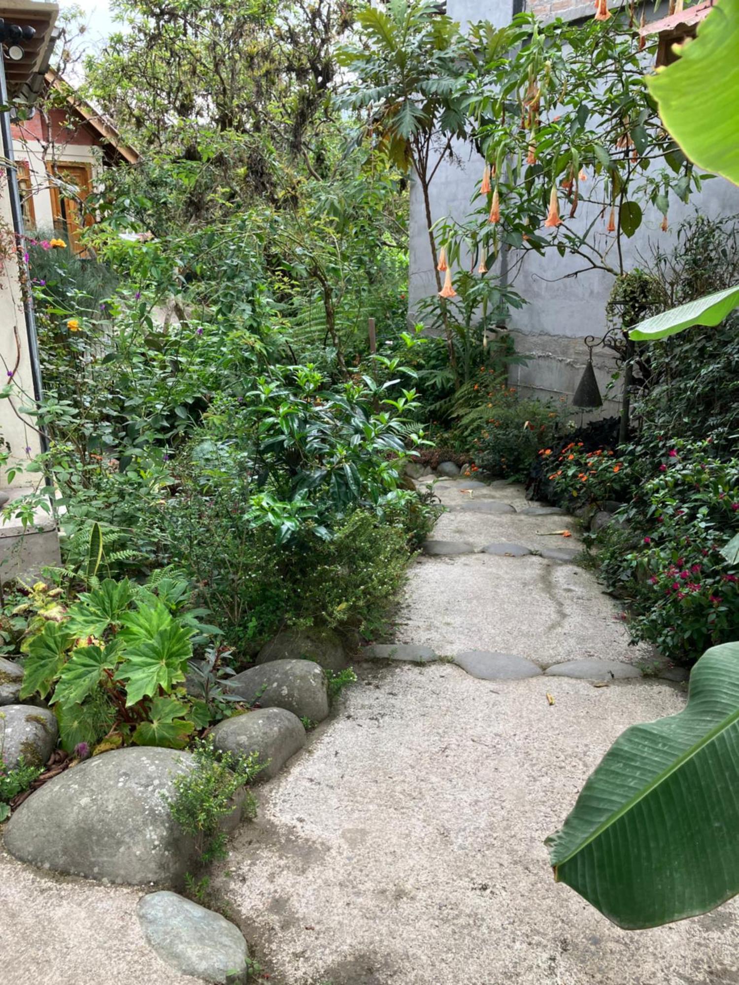 Casa Del Rio En Mindo Bed & Breakfast エクステリア 写真