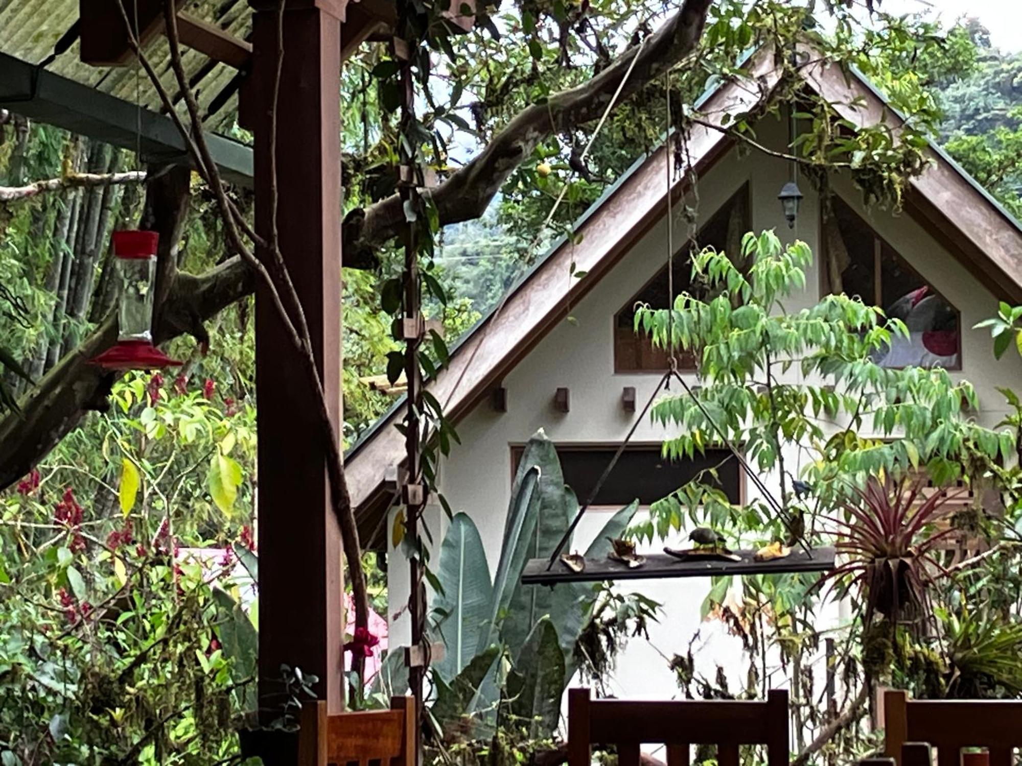 Casa Del Rio En Mindo Bed & Breakfast エクステリア 写真