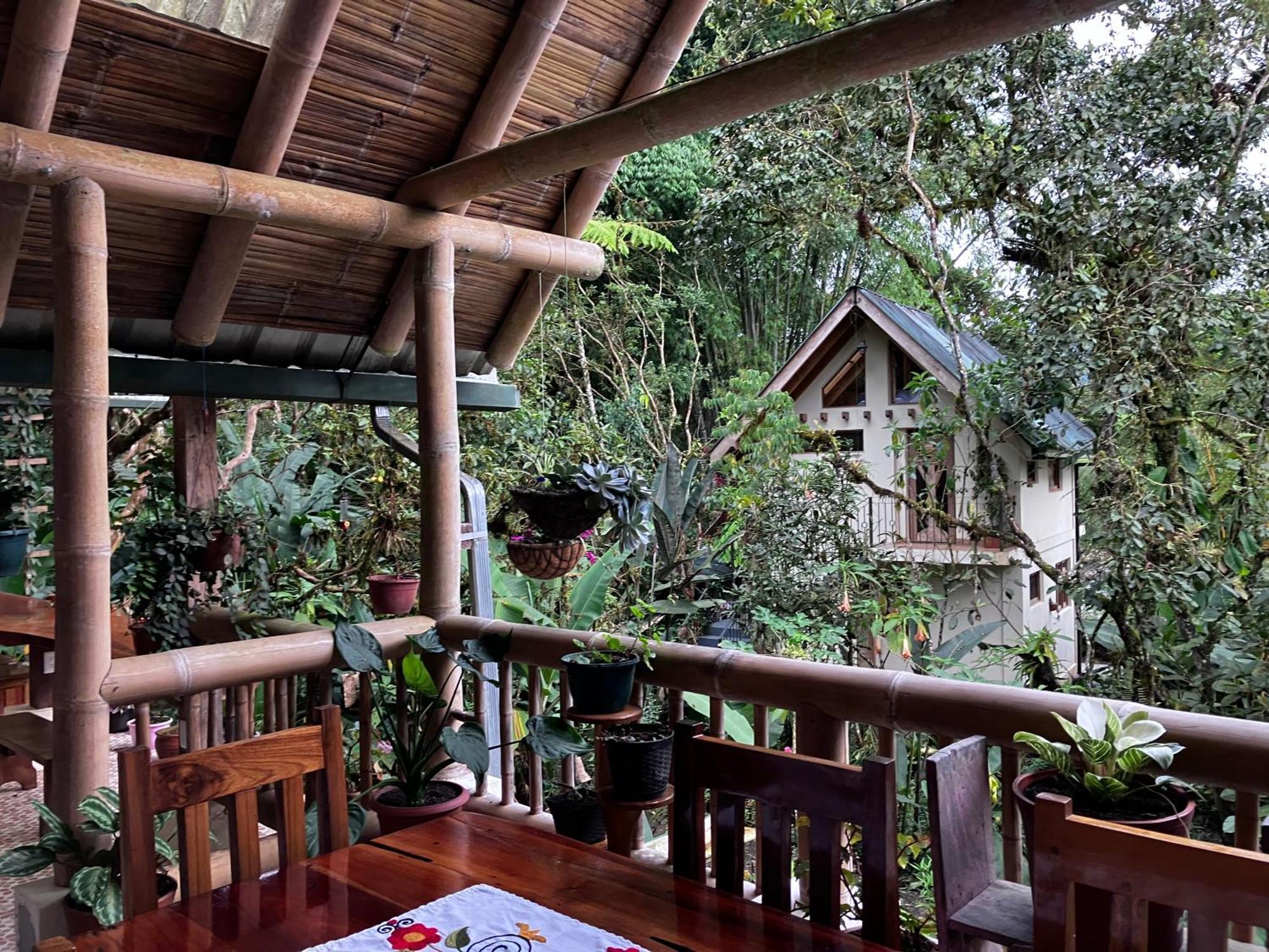 Casa Del Rio En Mindo Bed & Breakfast エクステリア 写真