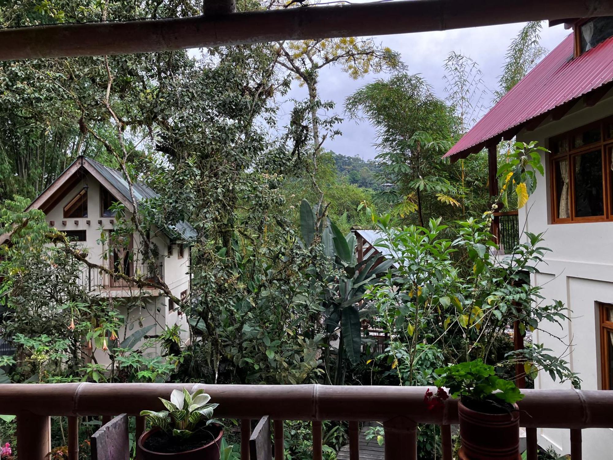 Casa Del Rio En Mindo Bed & Breakfast エクステリア 写真