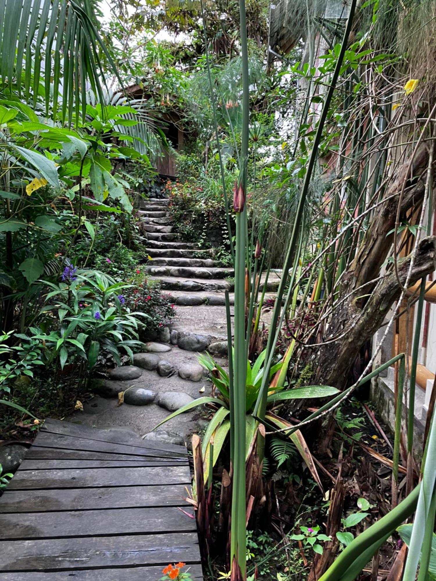 Casa Del Rio En Mindo Bed & Breakfast エクステリア 写真