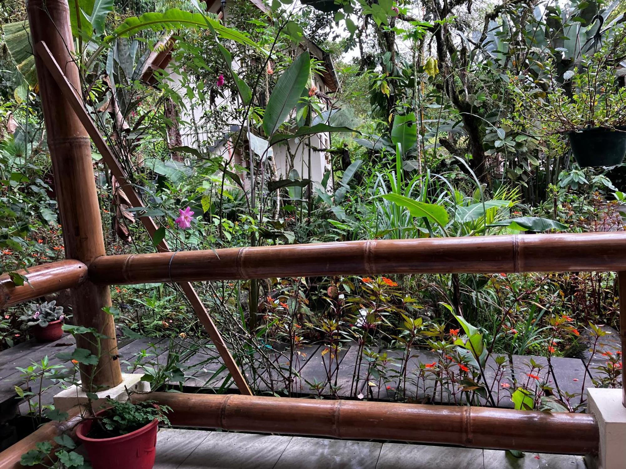 Casa Del Rio En Mindo Bed & Breakfast エクステリア 写真