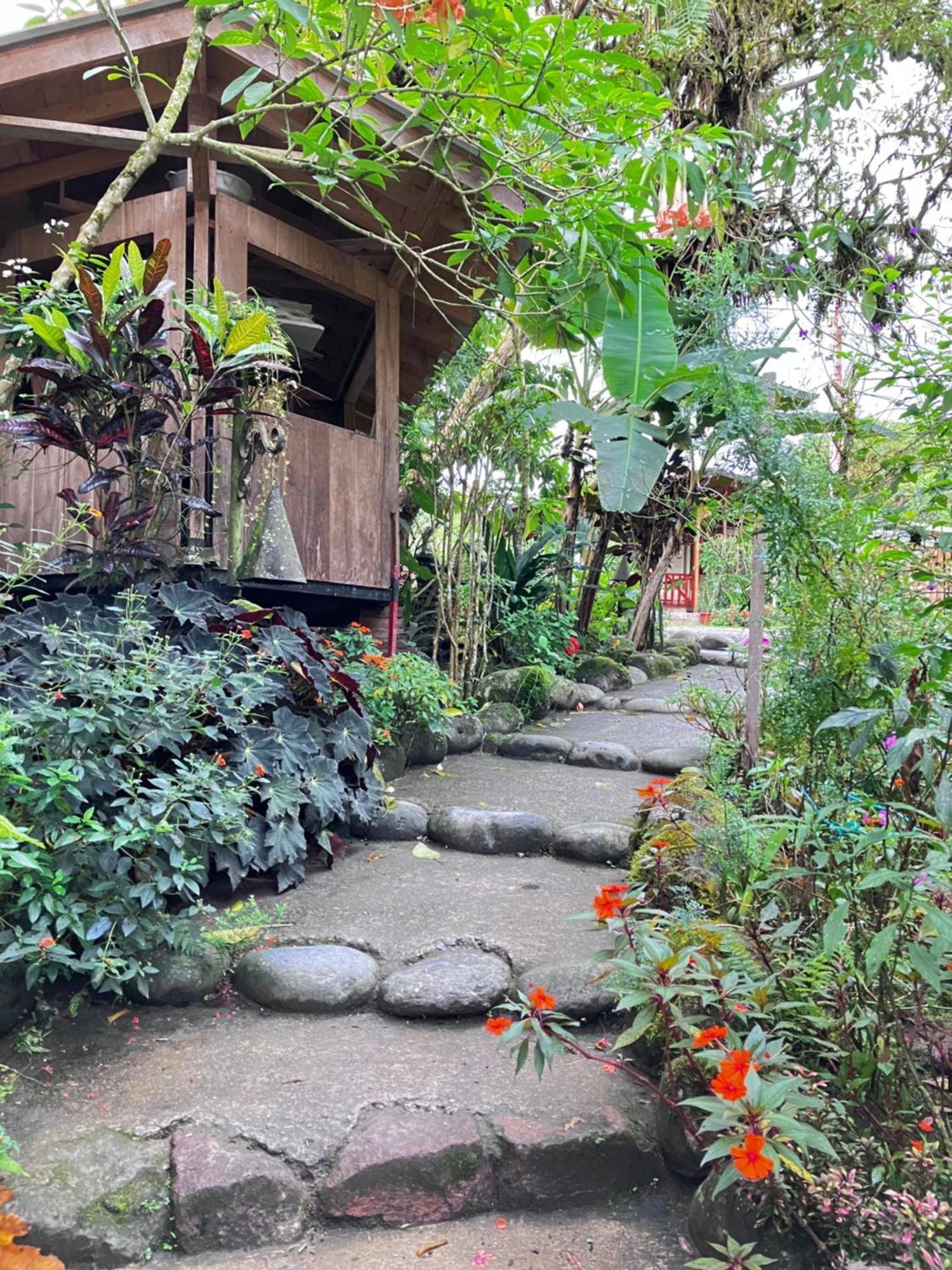 Casa Del Rio En Mindo Bed & Breakfast エクステリア 写真