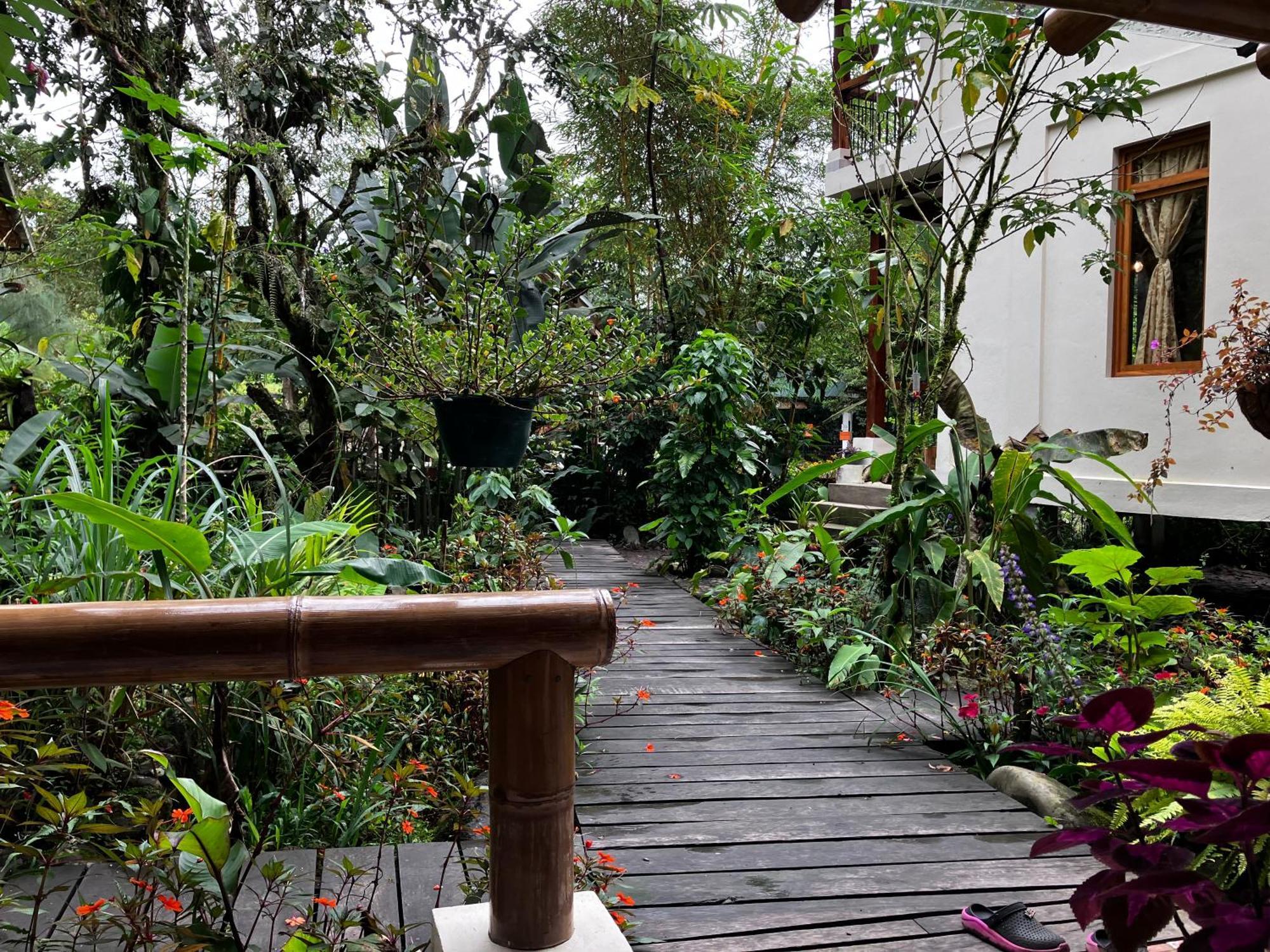 Casa Del Rio En Mindo Bed & Breakfast エクステリア 写真