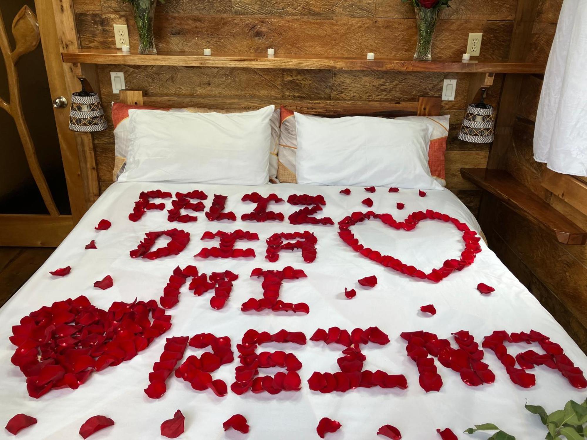 Casa Del Rio En Mindo Bed & Breakfast エクステリア 写真