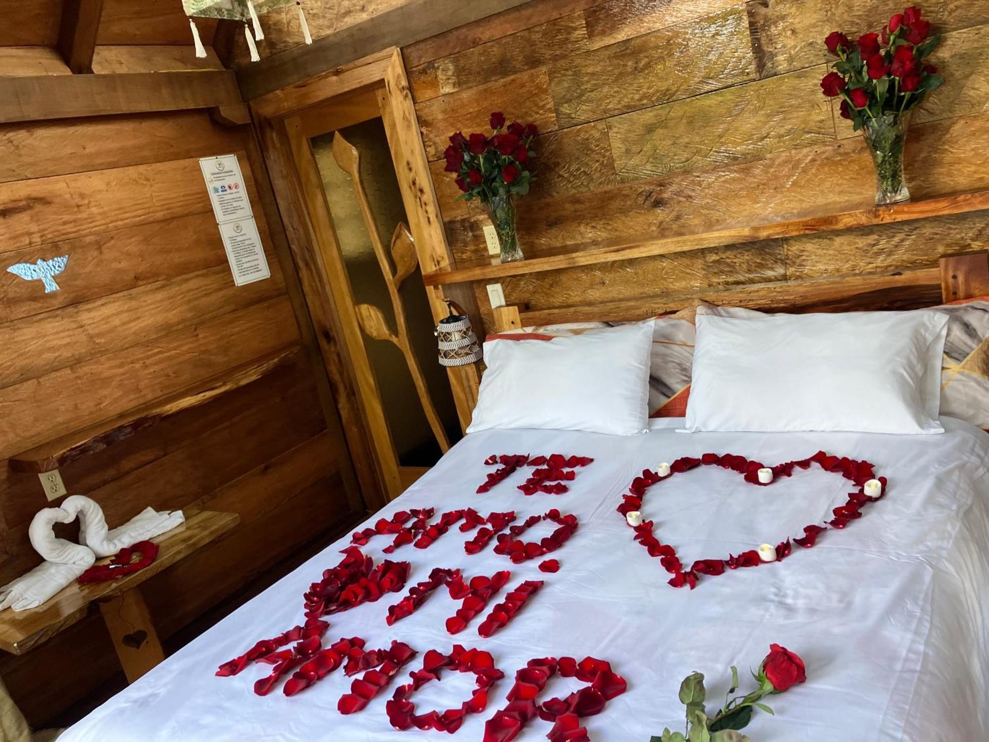 Casa Del Rio En Mindo Bed & Breakfast エクステリア 写真